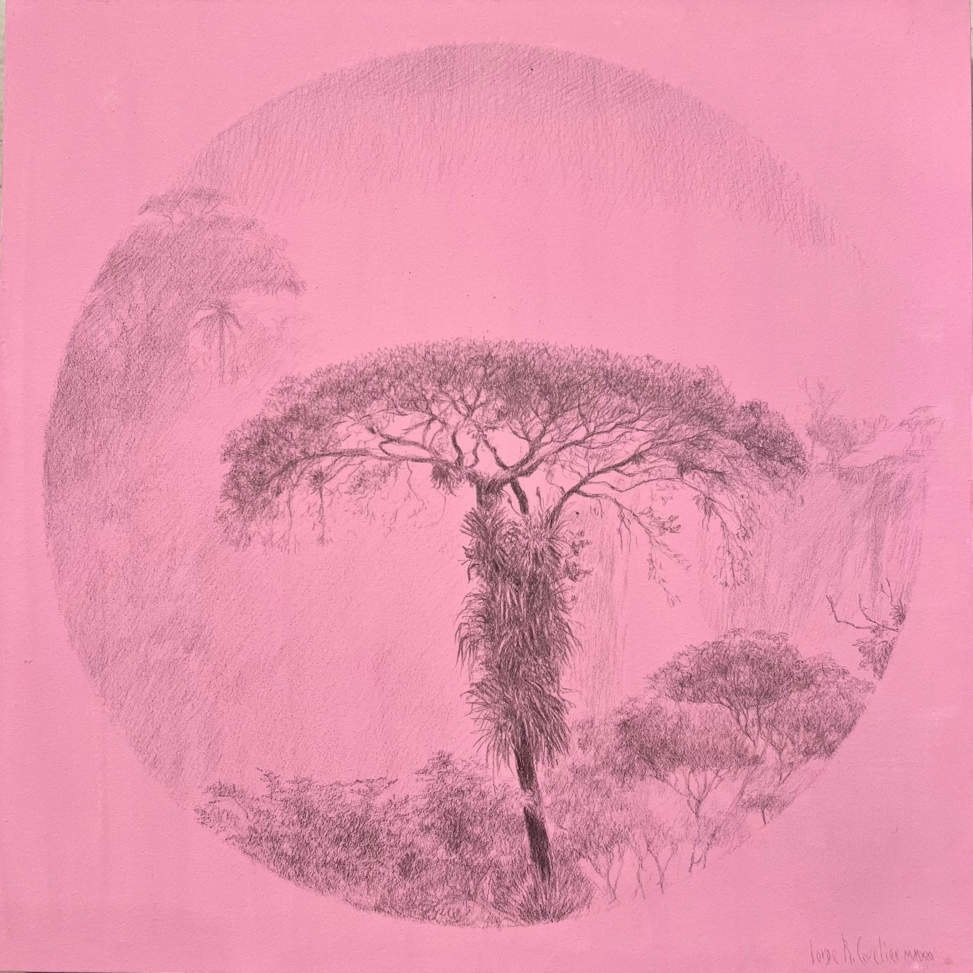 Árbol Rosa II, Silverpoint on tinted paper, 2020 — Cavelier Arte