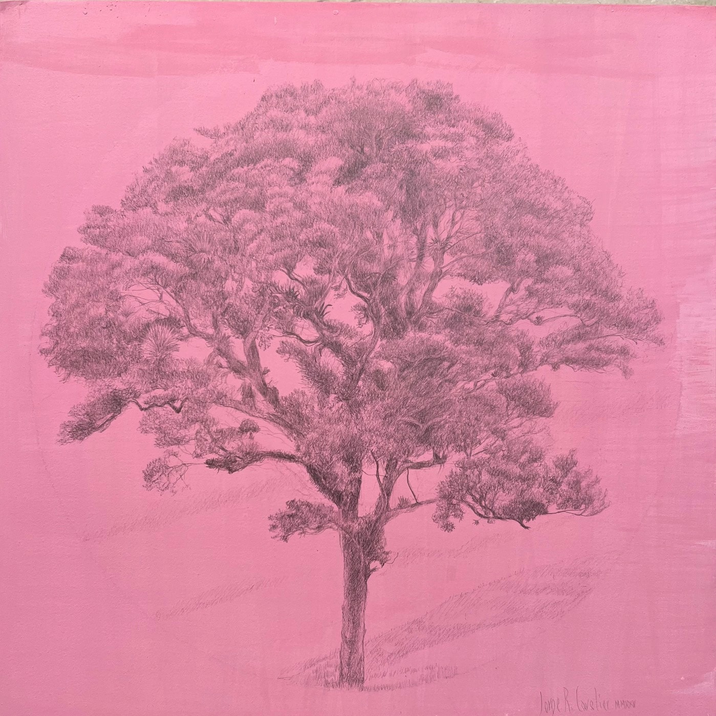 Árbol Rosa I, Silverpoint on tinted paper, 2020 — Cavelier Arte